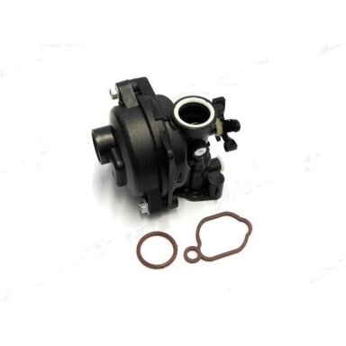 Karbiuratorius Briggs&Stratton (591160)