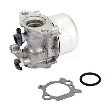 Karbiuratorius Briggs&Stratton (799866)